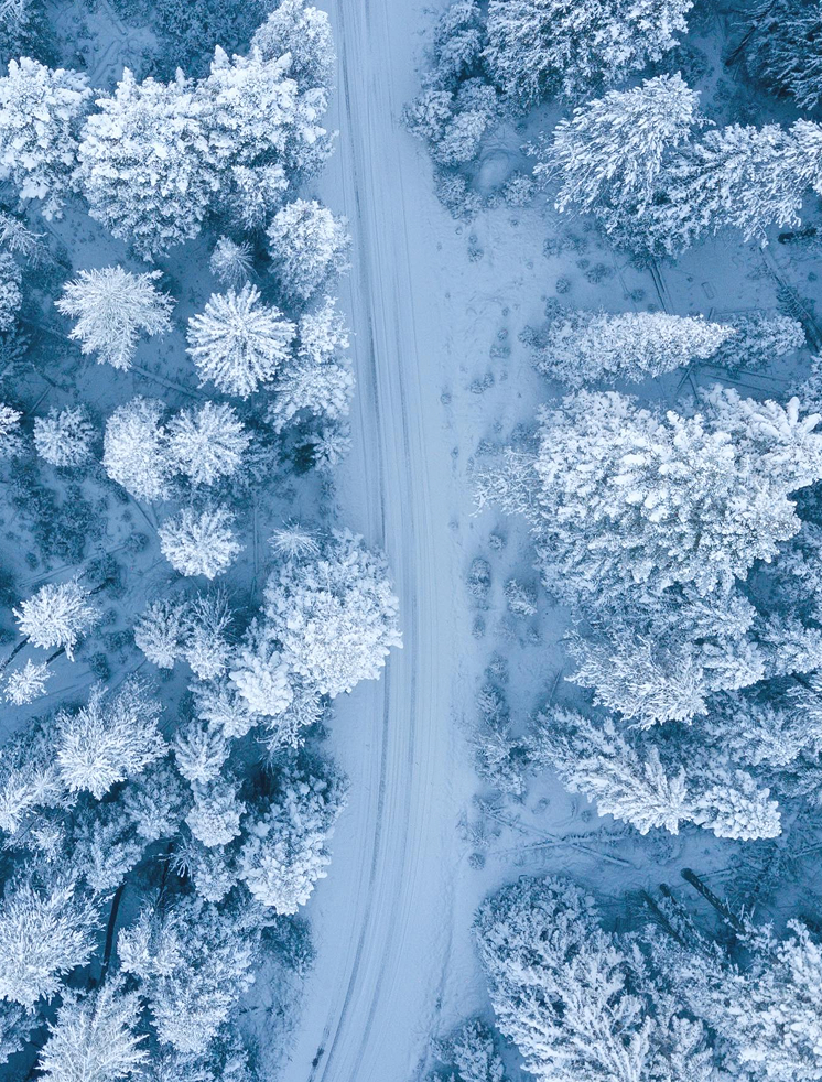Snow covered road seen from above with trees on each side of road